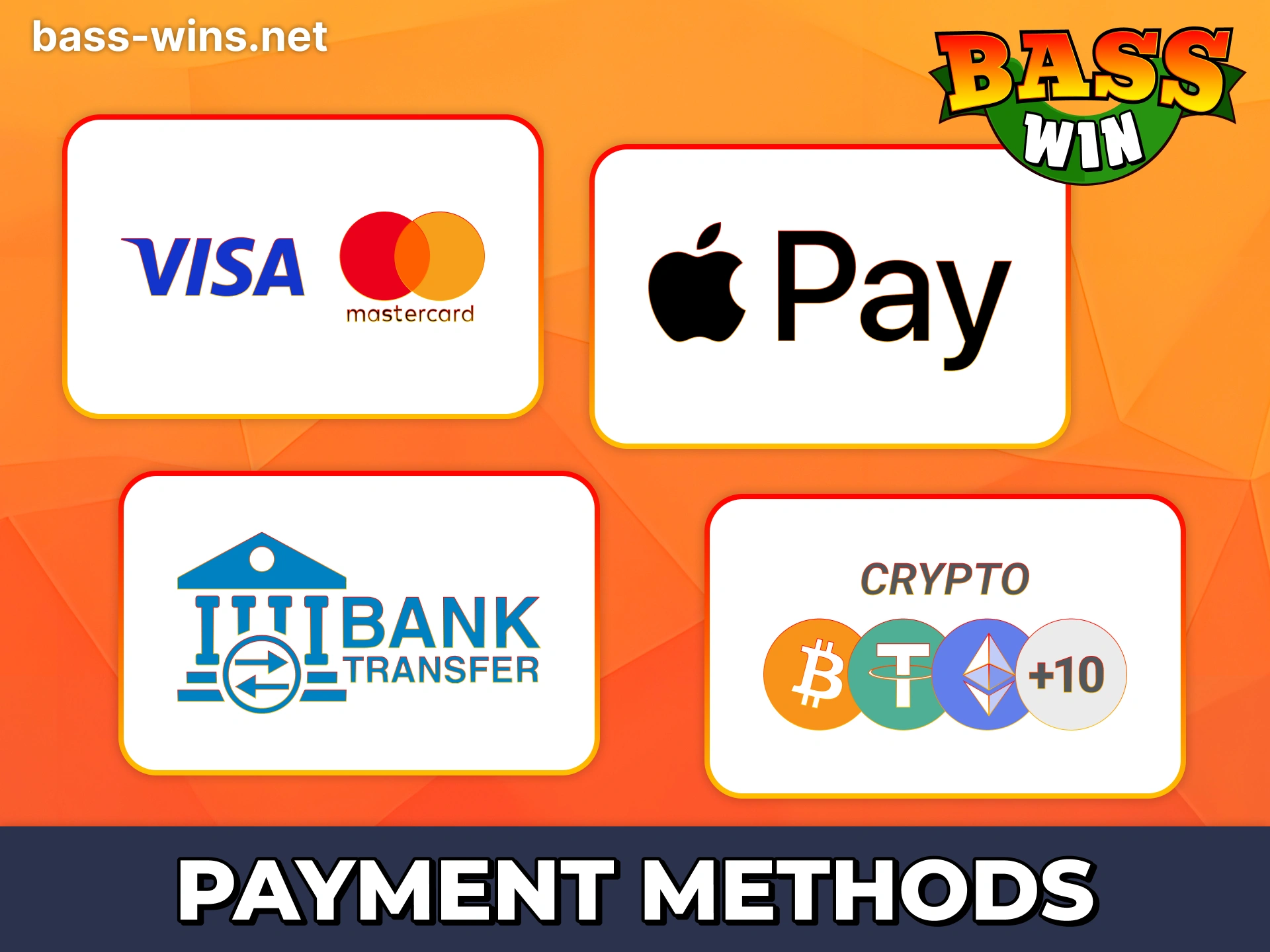Choose any payment method you like for Bass Win deposits and withdrawals.