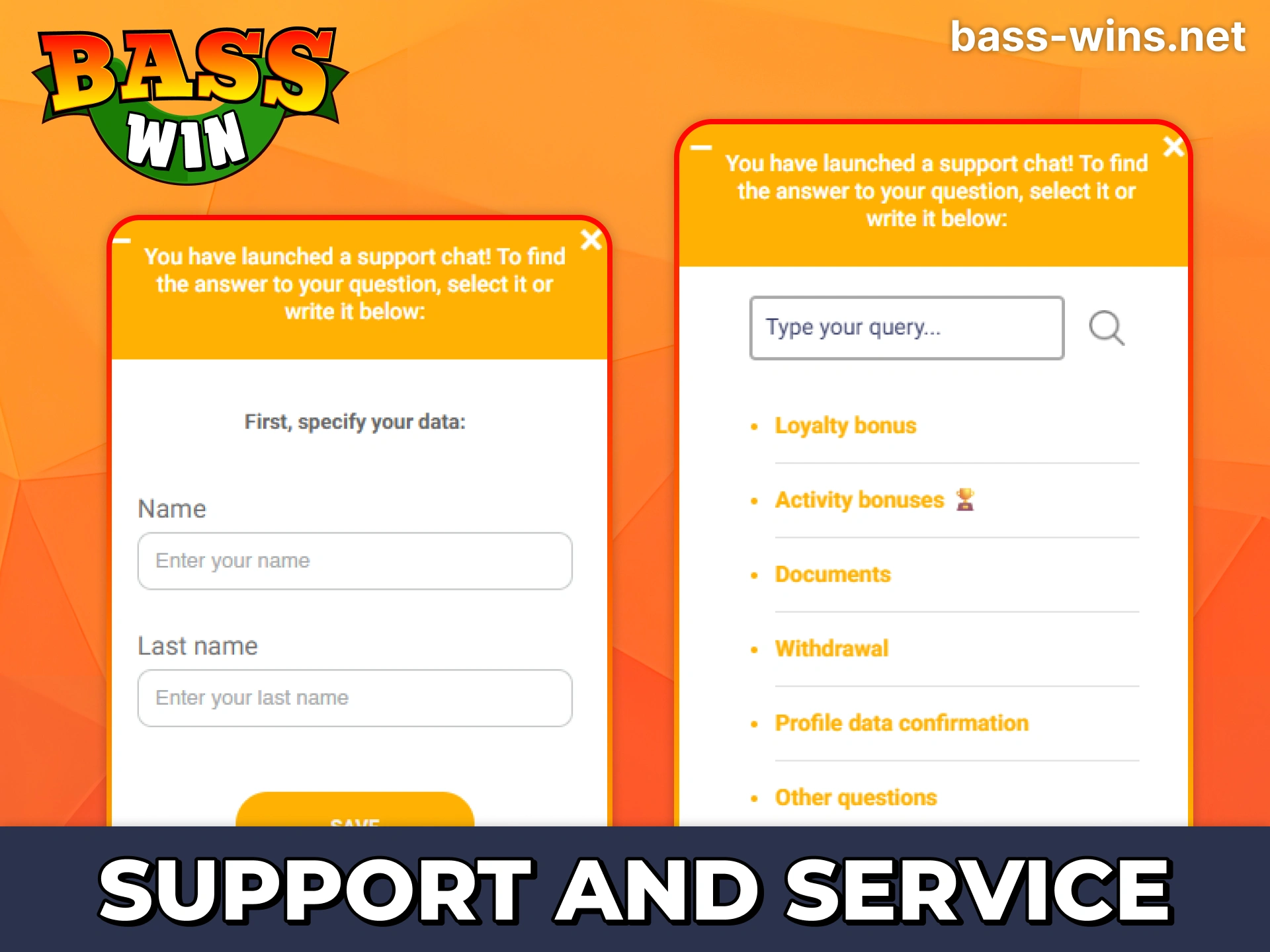 Contact Bass Win support team with any of provided methods.