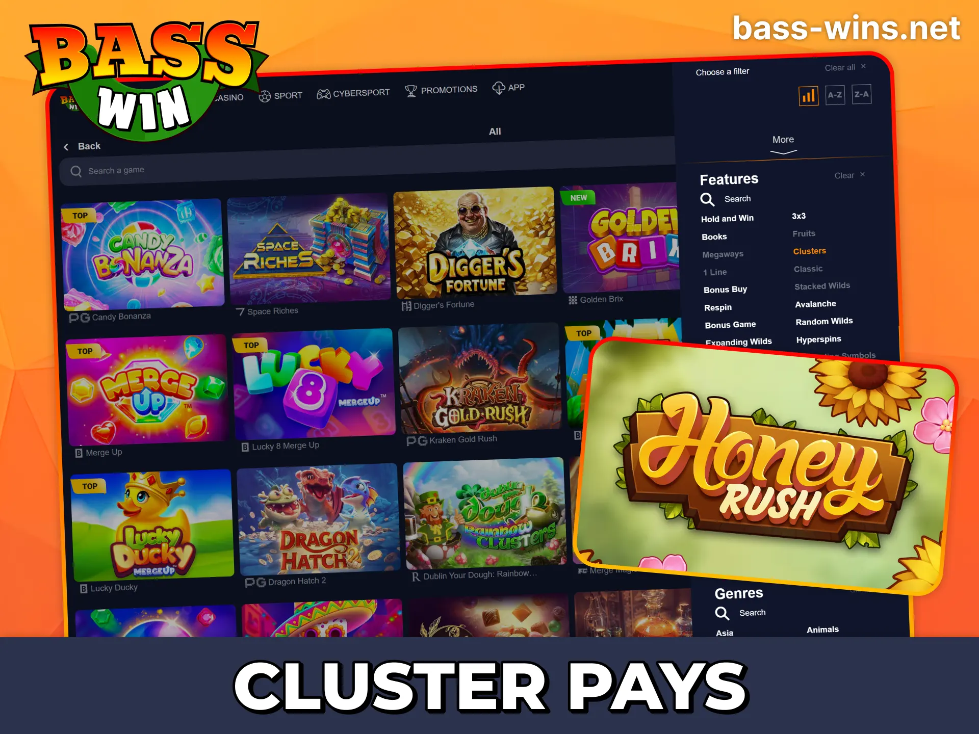 Try different cluster slot games at Bass Win.