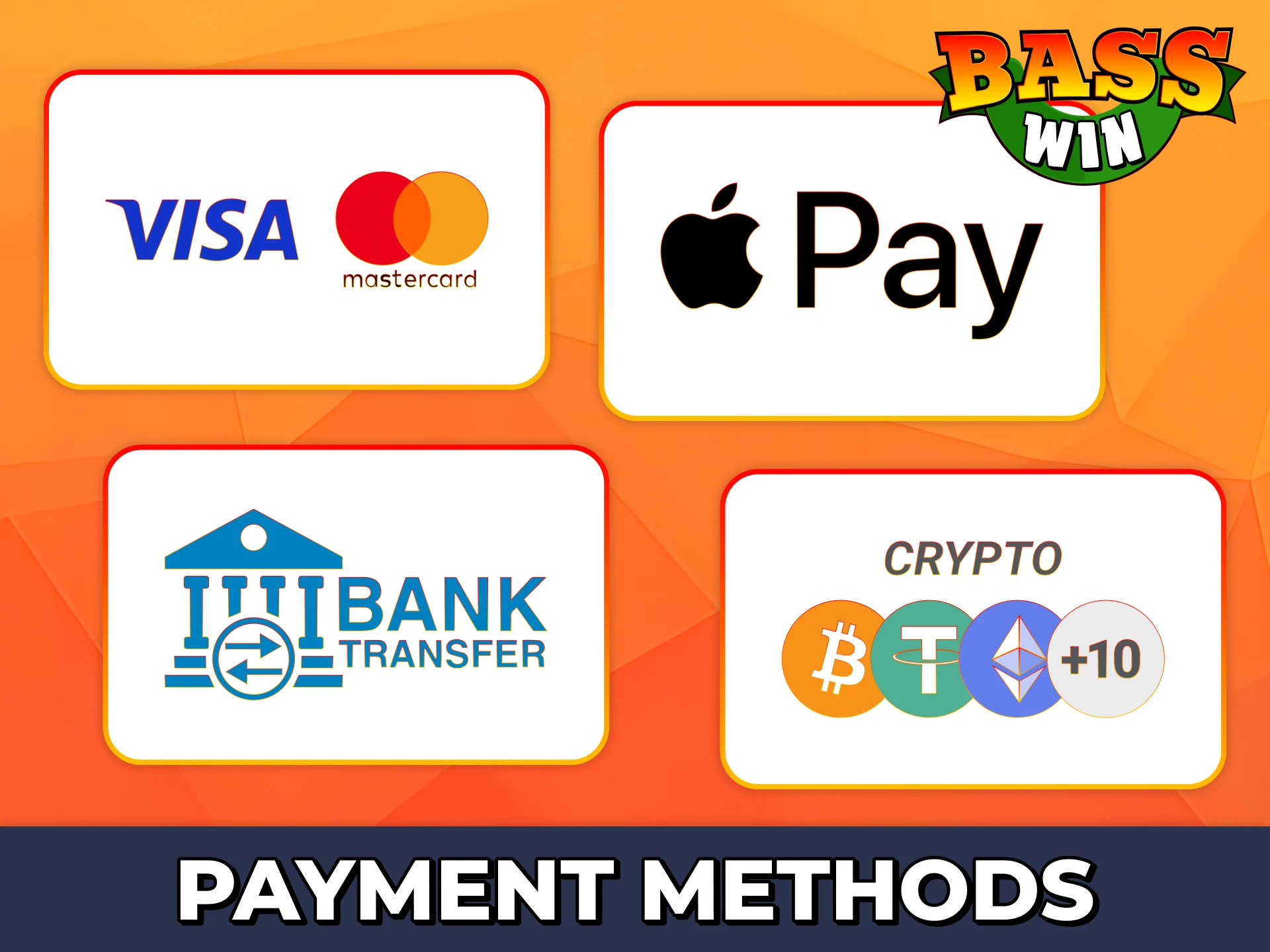 Choose any payment method you like for Bass Win deposits and withdrawals.