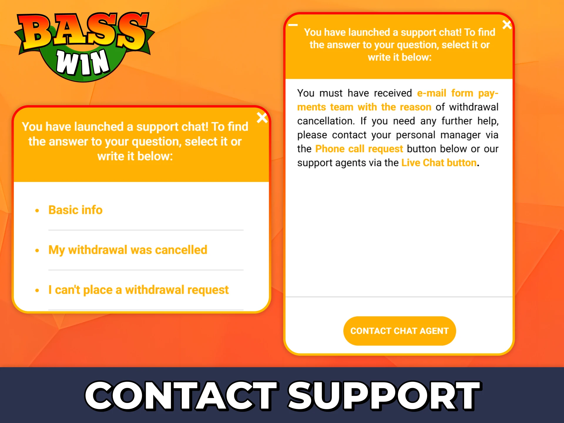 Read FAQ articles or contact Bass Win support if you have withdrawal problems.